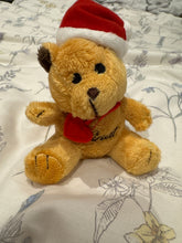Load image into Gallery viewer, Love and Law of Attraction & Success love manifesting intention teddy bear