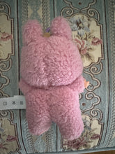 Load image into Gallery viewer, Wealth and money handbag pink labubu charm for acquiring success and more money keyring, clip