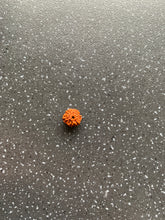 Load image into Gallery viewer, EXTREMELY Lucky Rudraksha Charm for Protection, Wealth, Focus, Anxiety, Stability & Love