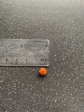 Load image into Gallery viewer, EXTREMELY Lucky Rudraksha Charm for Protection, Wealth, Focus, Anxiety, Stability & Love