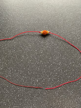 Load image into Gallery viewer, EXTREMELY Lucky Rudraksha Intention Tie Bracelet for Protection, Wealth, Focus, Anxiety, Stability & Love