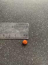 Load image into Gallery viewer, EXTREMELY Lucky Rudraksha Charm for Protection, Wealth, Focus, Anxiety, Stability & Love