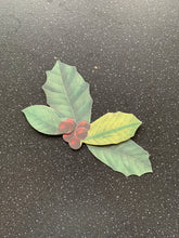 Load image into Gallery viewer, Get Your Ex Back 3D Paper Holly Mistletoe Flower Paper Charm For Wallet or Under Pillow for Successful law of attraction manifestation 9x9cm