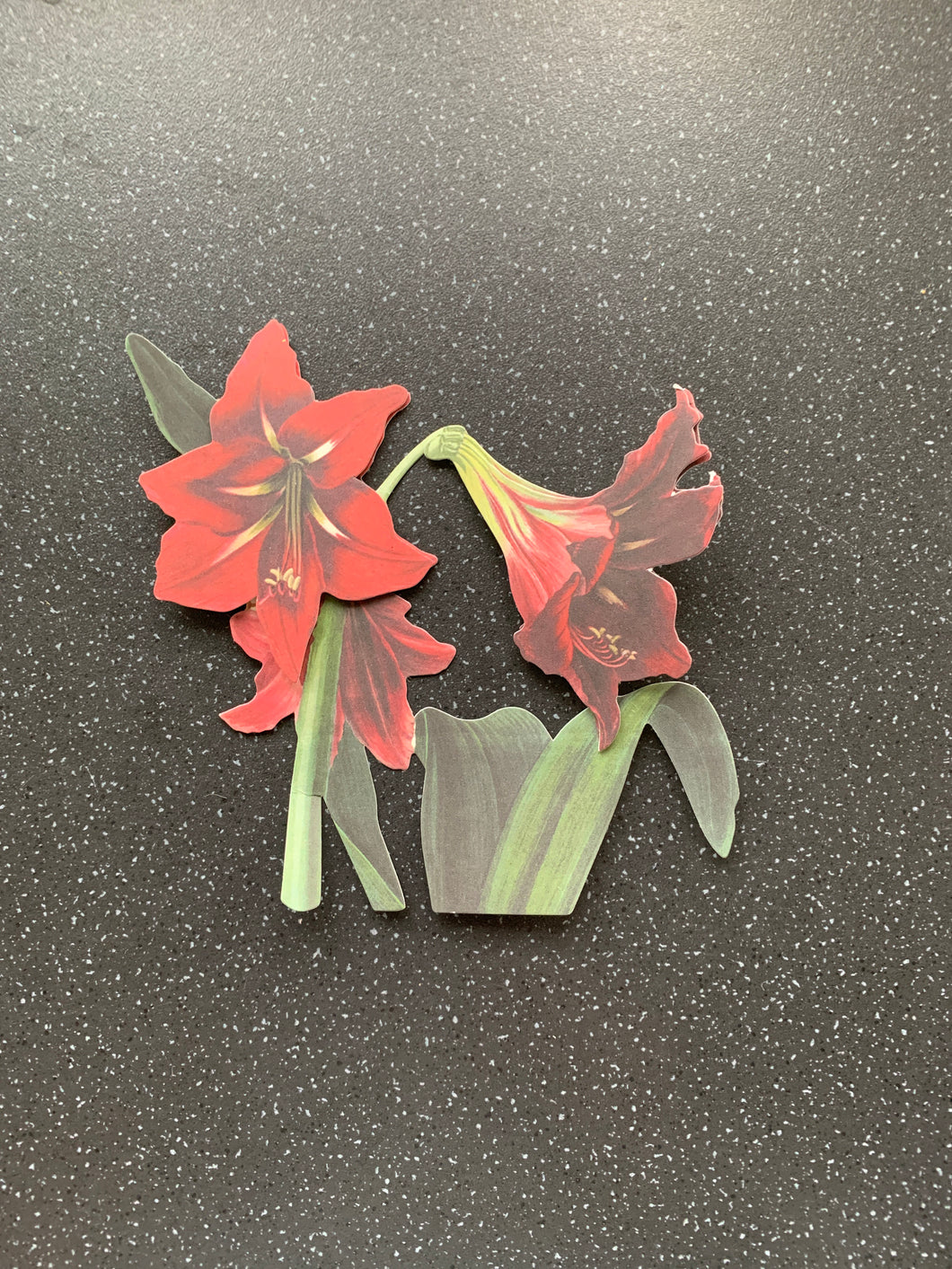 Manifest Love 3D Paper poinsettia Flower Paper Charm For Wallet or Under Pillow for Successful law of attraction manifestation bouquet